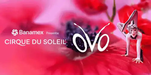 CIRQUE DU SOLEIL - OVO