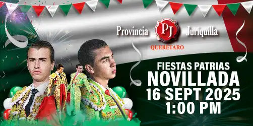 FIESTAS PATRIAS NOVILLADA